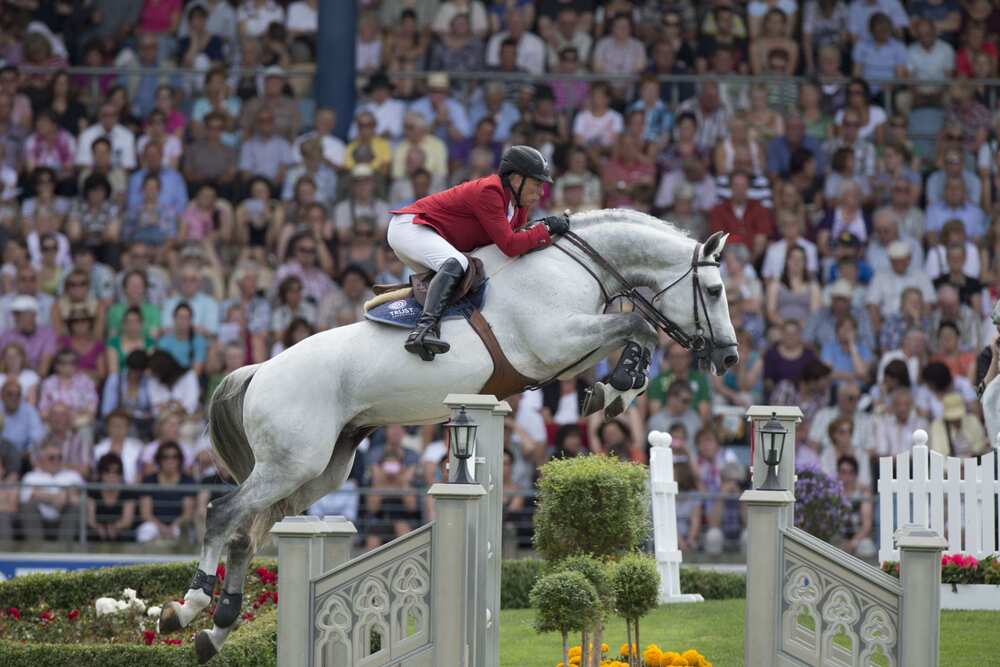 Cicero Z van Paemel & Dirk Demeersman jumping at Aachen
