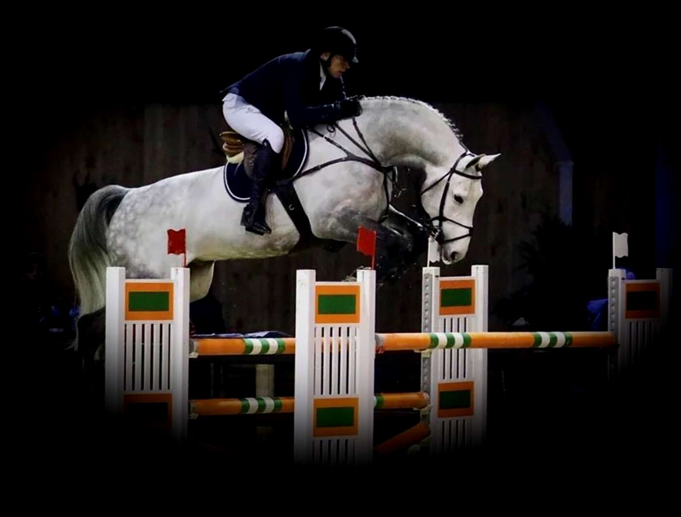 Jaguar van Paemel jumping
