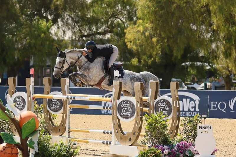 Picca Bella de Tilo jumping in USA