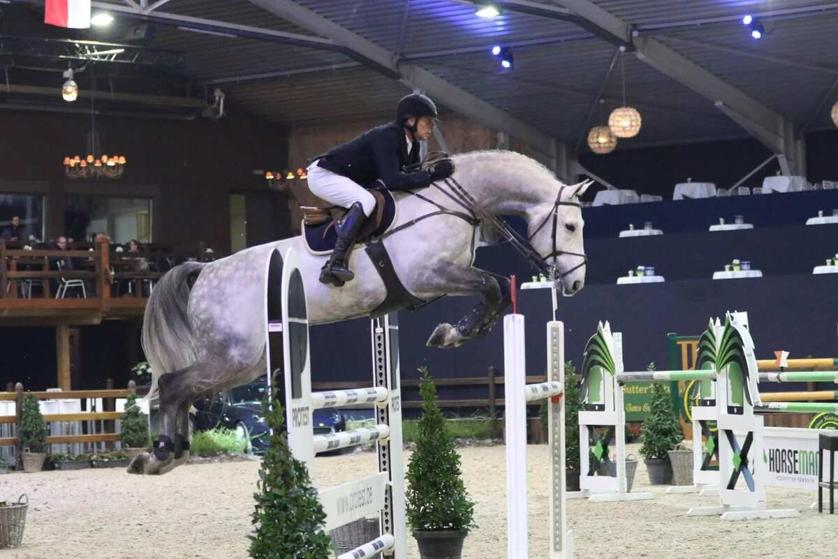 Jaguar van Paemel jumping indoors