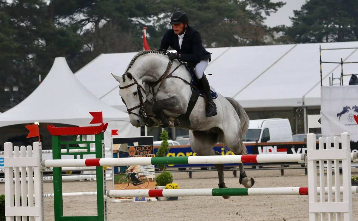Jaguar van Paemel jumping at Zangersheide