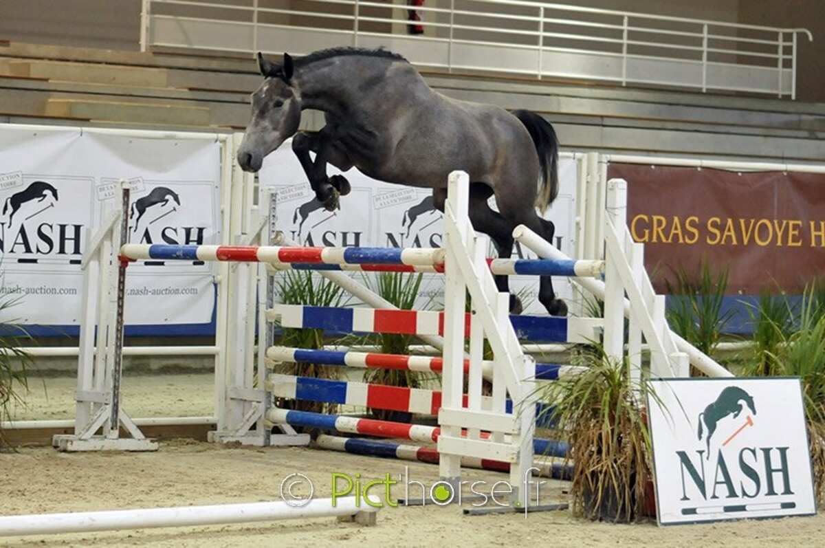 Jackson de Lasca free jumping
